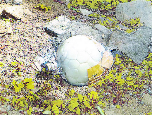 ice-cream ball
